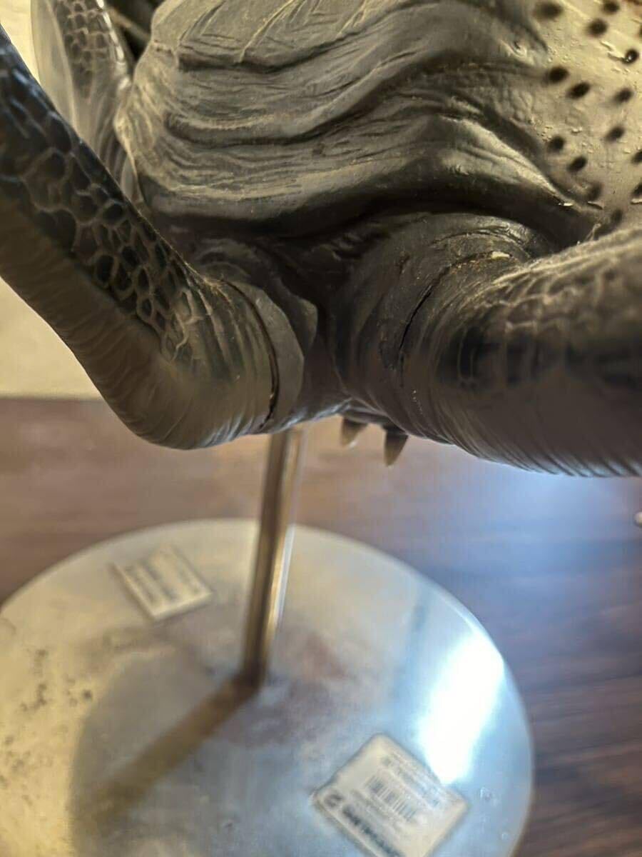 Amazon.co.jp: 世界600個限定 グレムリン2 スパイダーモホーク ジュン